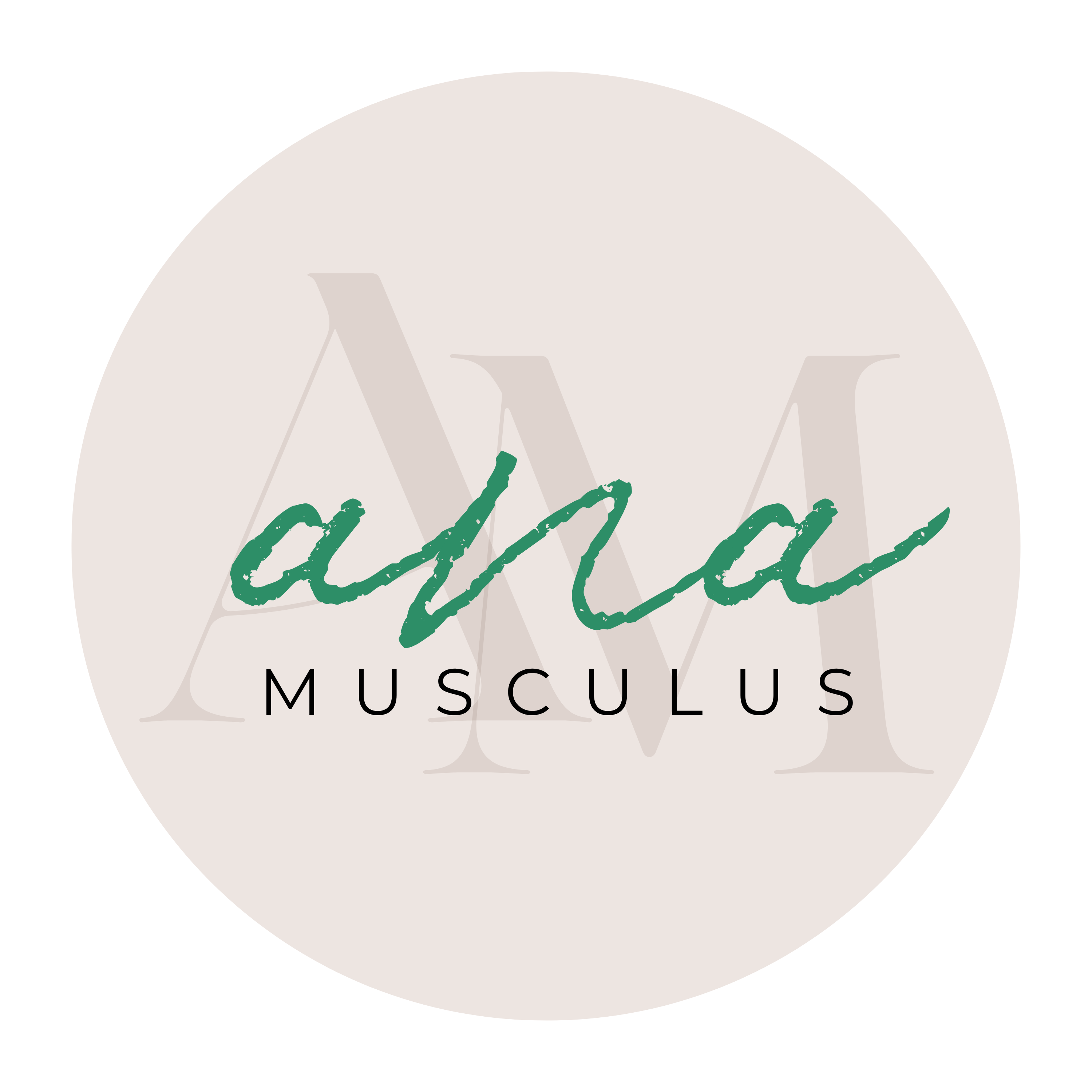 Ana Musculus